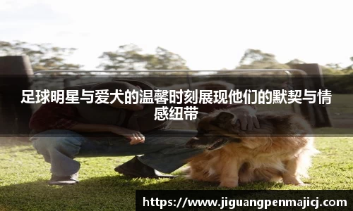 足球明星与爱犬的温馨时刻展现他们的默契与情感纽带