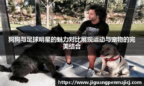 狗狗与足球明星的魅力对比展现运动与宠物的完美结合